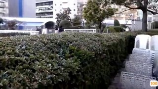 国产精品欧美精品高清专区,成人视频高清免费观看